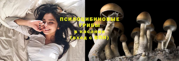 не бодяженный Богородицк