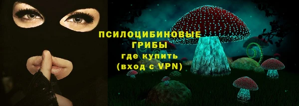 не бодяженный Богородицк