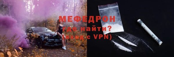 индика Богородск