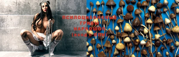 герыч Белокуриха