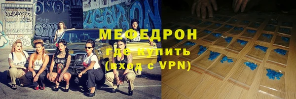 индика Богородск