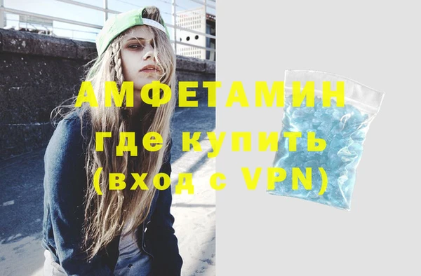 индика Богородск