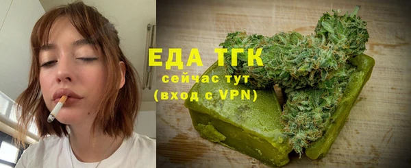 индика Богородск