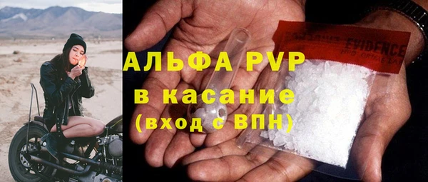 индика Богородск