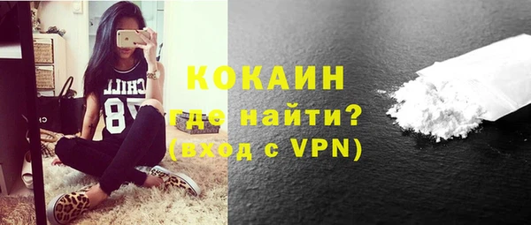 индика Богородск