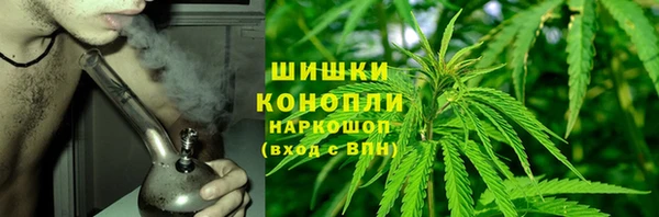 индика Богородск